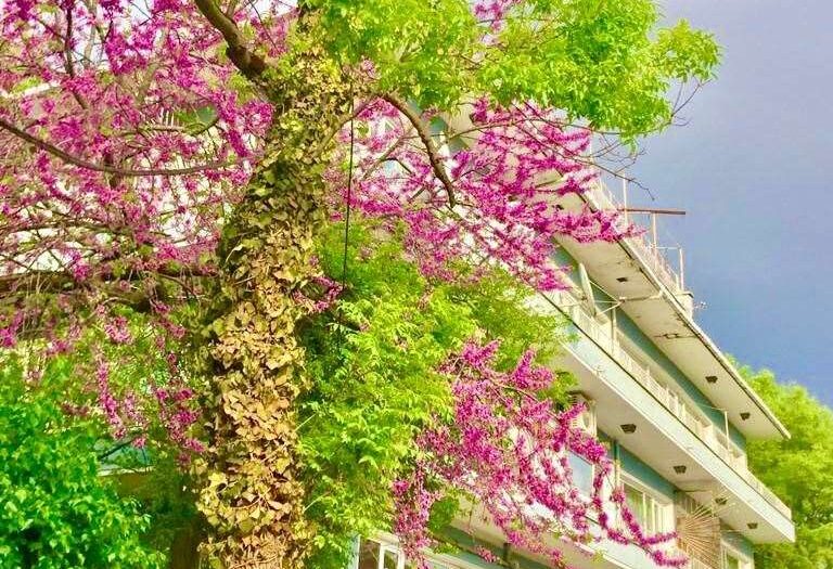 Çengelköy Satılık Villa